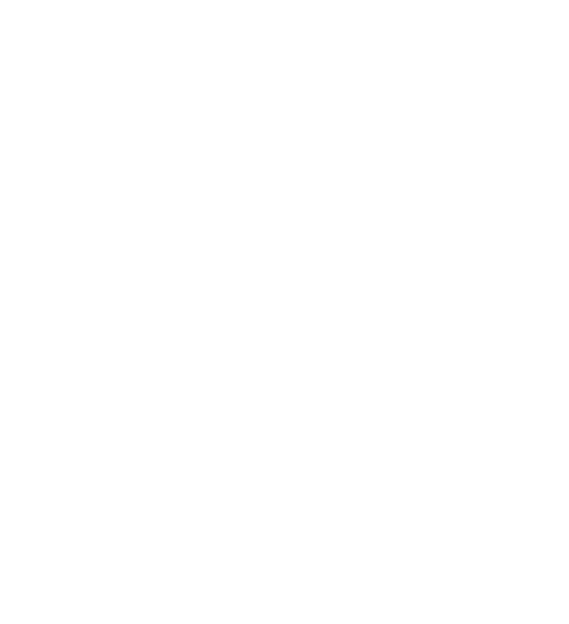 logo vikay